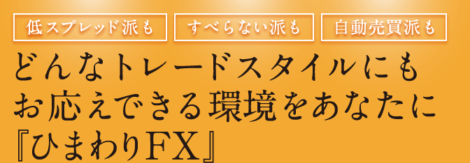 2010年8月レバレッジ規制スタート！どんなトレードスタイルにもお応えできる環境をあなたに『ひまわりFX』