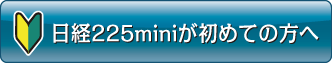 日経225miniが初めての方へ