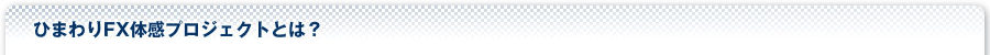 ひまわりFX体感プロジェクトとは？