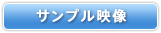 サンプル映像