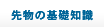 先物の基礎知識