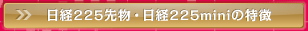 日経225mini・日経225先物の特長