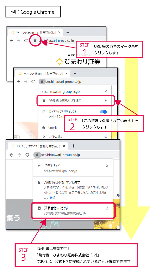 ひまわりニュース