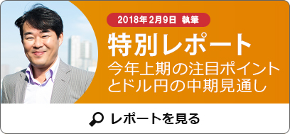 平野朋之氏特別レポート サンプル
