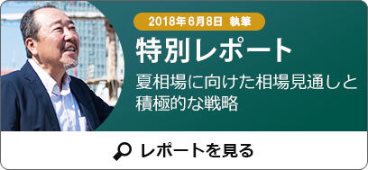 だいまん氏特別レポート サンプル