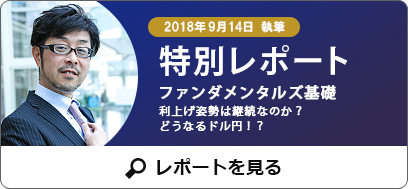雨夜氏特別レポート サンプル