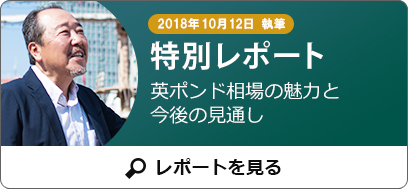 だいまん氏特別レポート サンプル